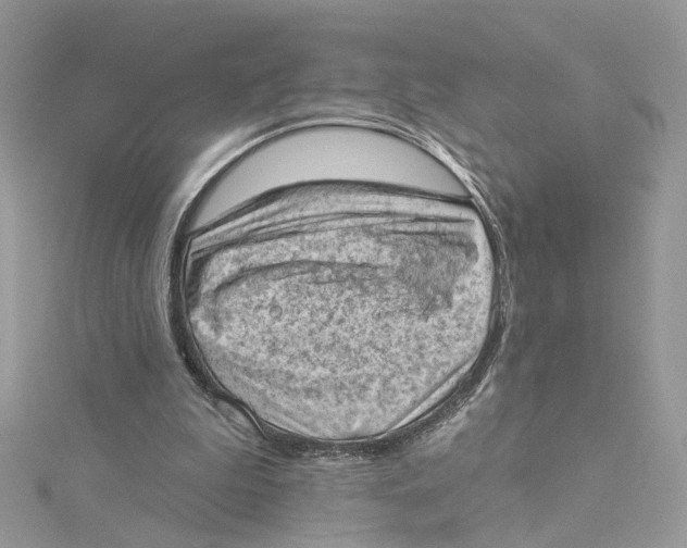 X0000114530199200911161343