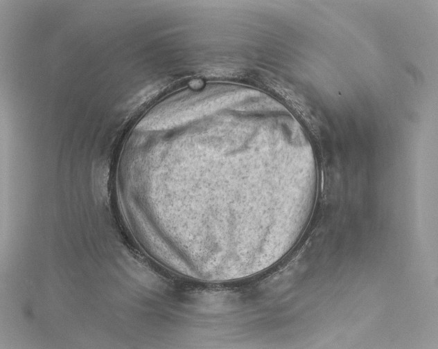 X0000114530201200911161343