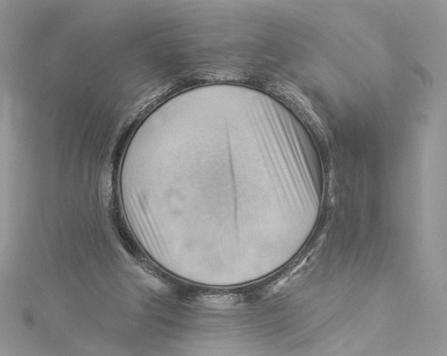 X0000114530202200911161343