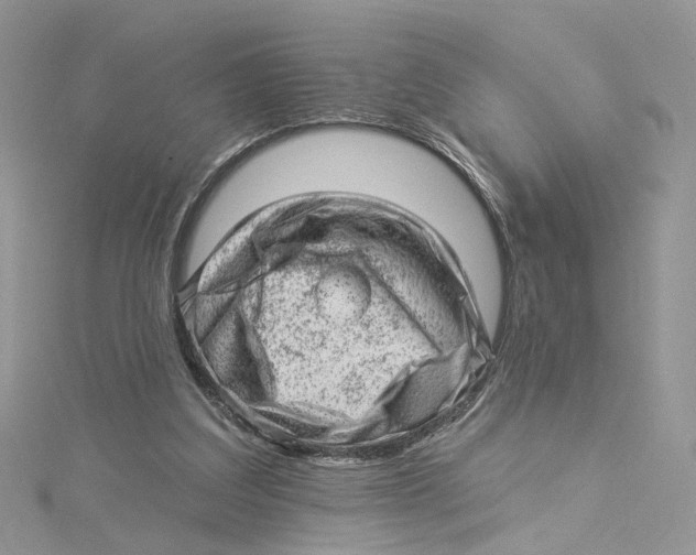 X0000114530203200911161343