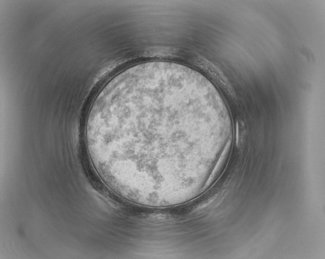 X0000114530204200911161343