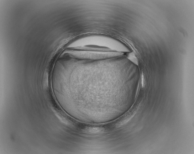 X0000114530205200911161343