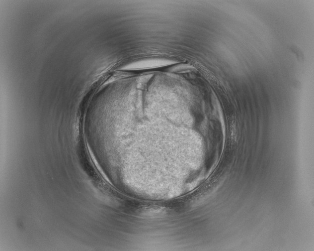 X0000114530206200911161343