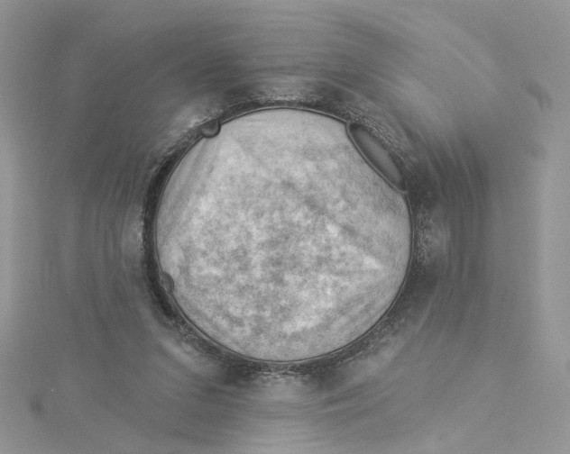 X0000114530207200911161343