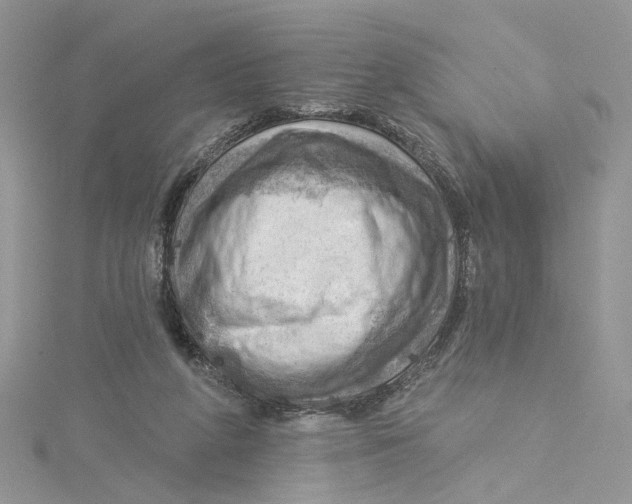 X0000114530210200911161343