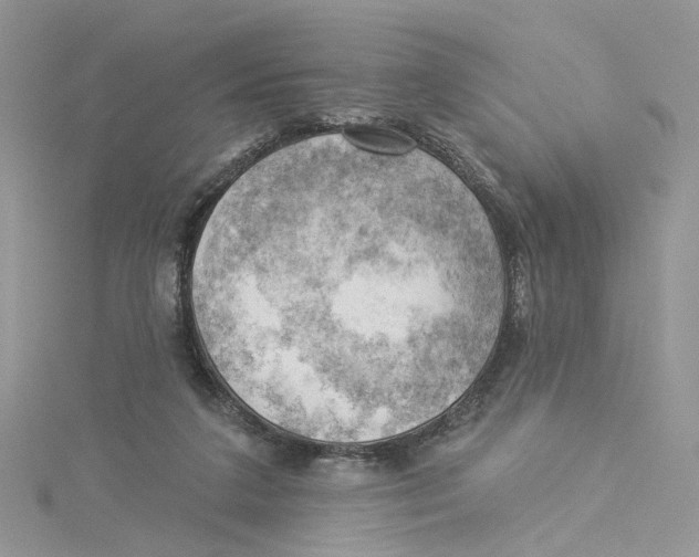 X0000114530211200911161343