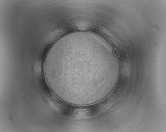 X0000114530213200911161343