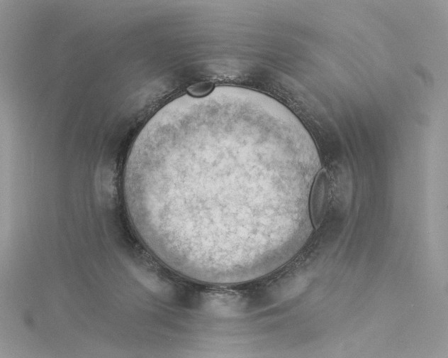 X0000114530215200911161343