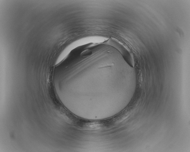 X0000114530219200911161343