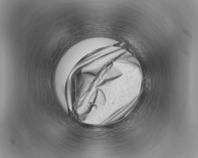 X0000114530221200911161343