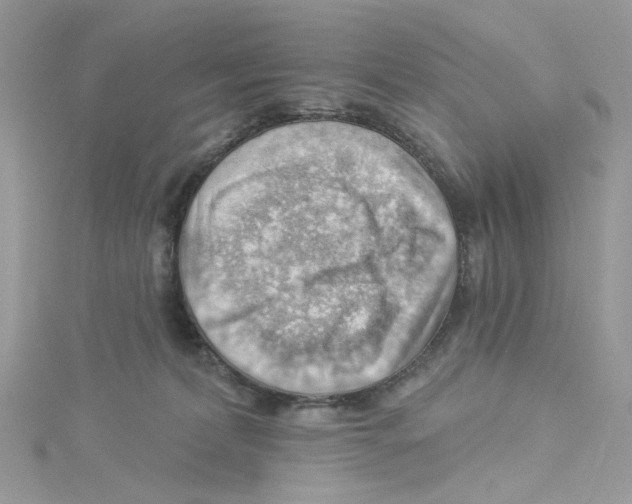 X0000114530228200911161343