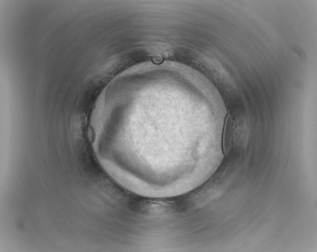 X0000114530229200911161343