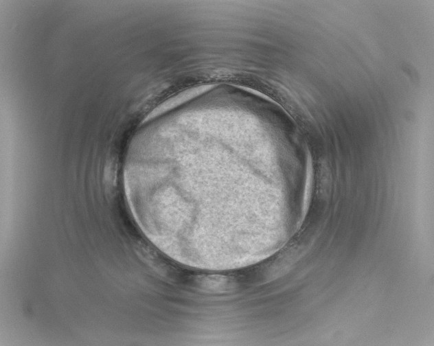 X0000114530230200911161343