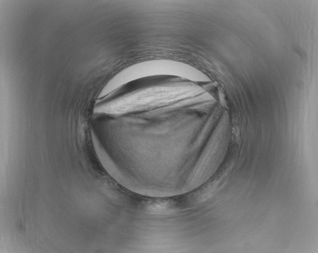 X0000114530235200911161343