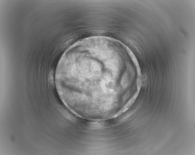 X0000114530238200911161343