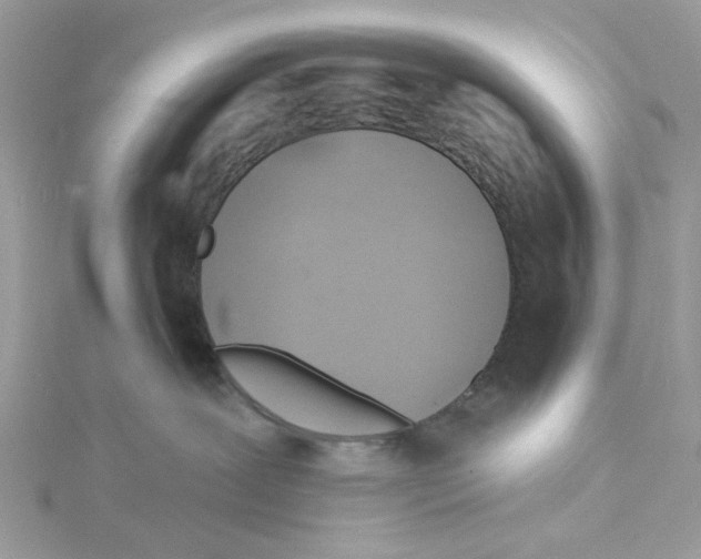 X0000114530239200911161343