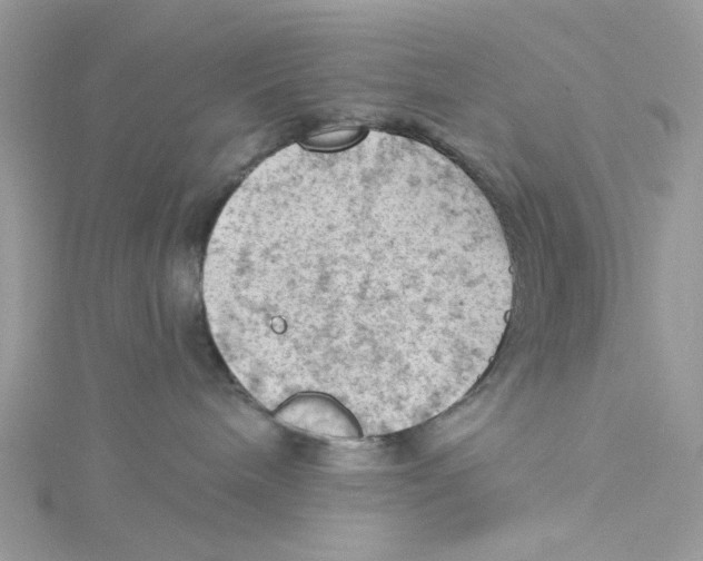 X0000114530240200911161343