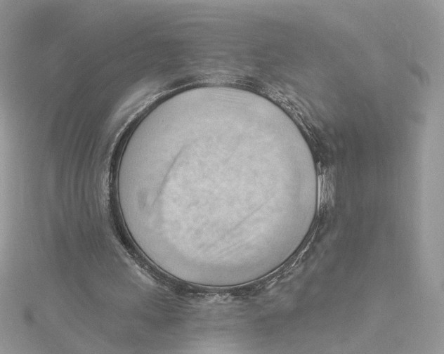 X0000114530243200911161342