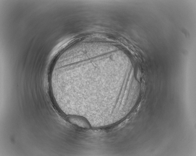 X0000114530245200911161342