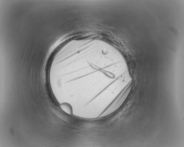 X0000114530246200911161342