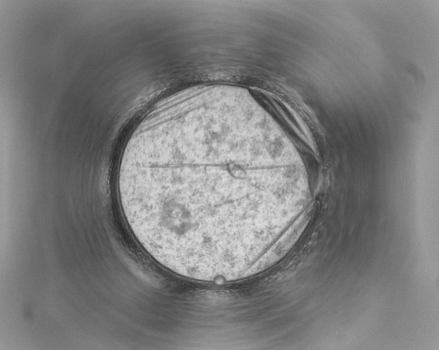 X0000114530250200911161342