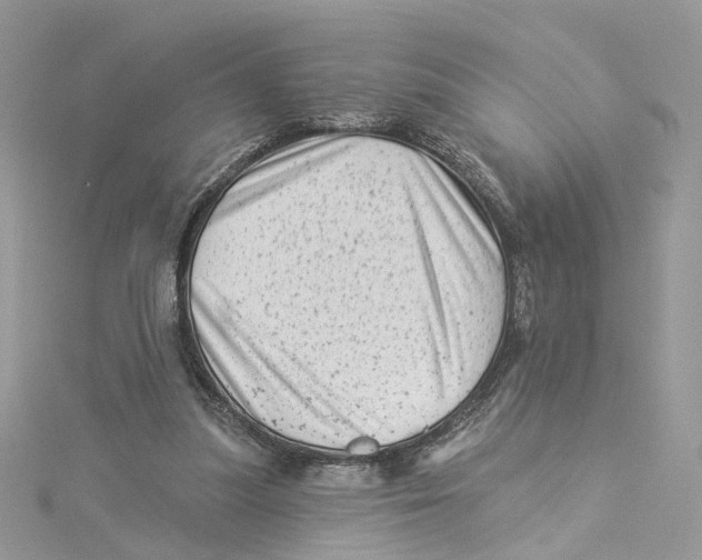 X0000114530251200911161342