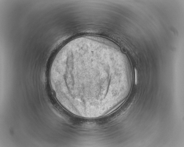 X0000114530252200911161342