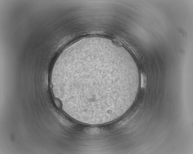 X0000114530253200911161342