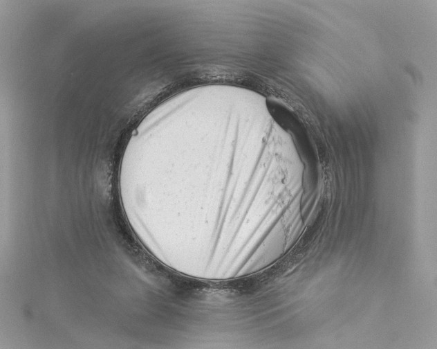 X0000114530255200911161342