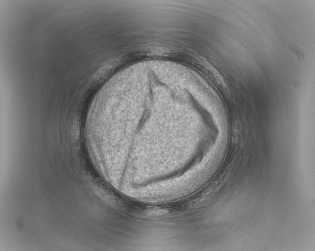 X0000114530257200911161342