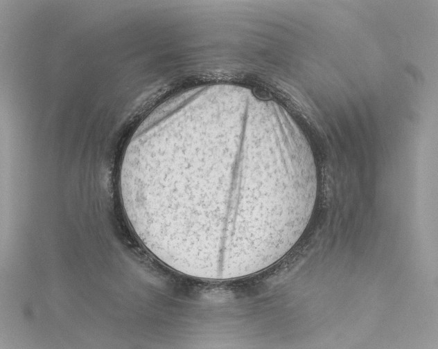 X0000114530258200911161342