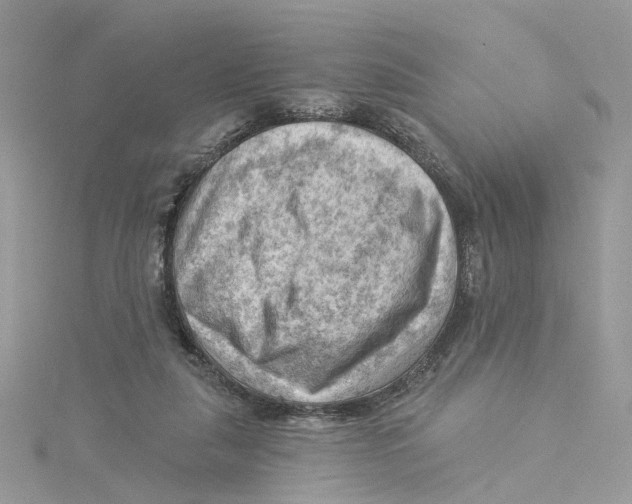 X0000114530259200911161342