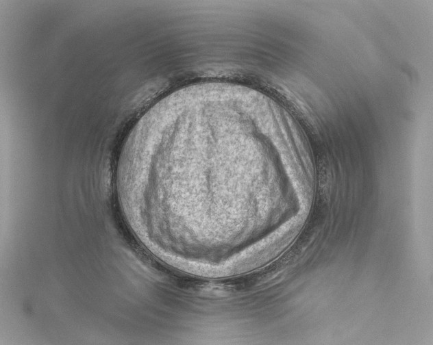 X0000114530261200911161342