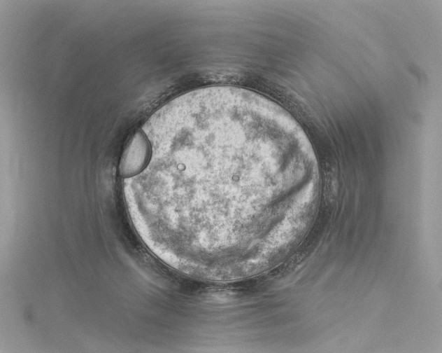 X0000114530263200911161342