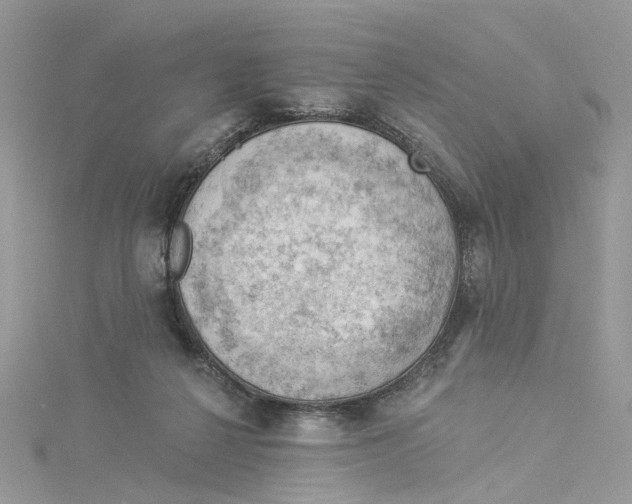 X0000114530264200911161342