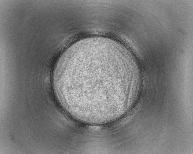 X0000114530265200911161342