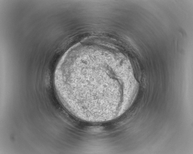 X0000114530266200911161342