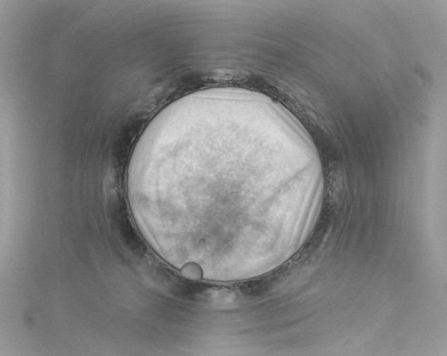 X0000114530272200911161342