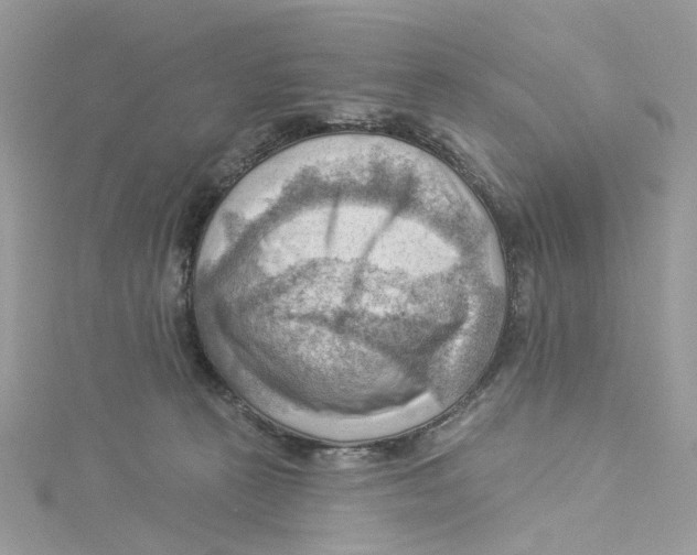 X0000114530273200911161342