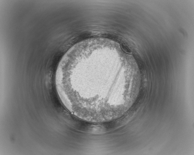 X0000114530275200911161342