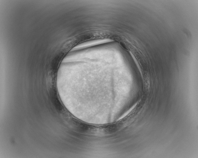 X0000114530276200911161343