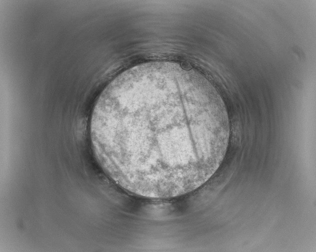 X0000114530278200911161343