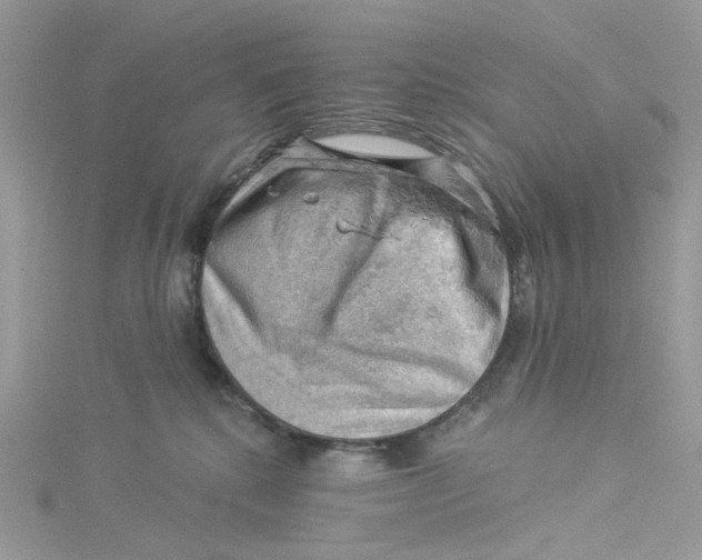 X0000114530280200911161343