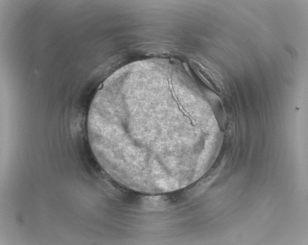 X0000114530281200911161343