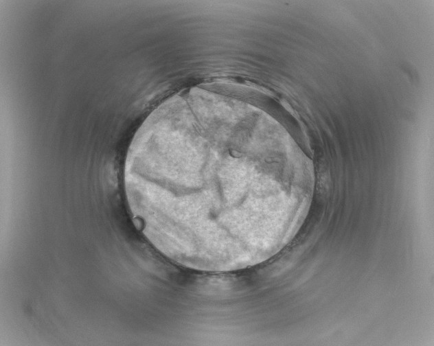 X0000114530282200911161343