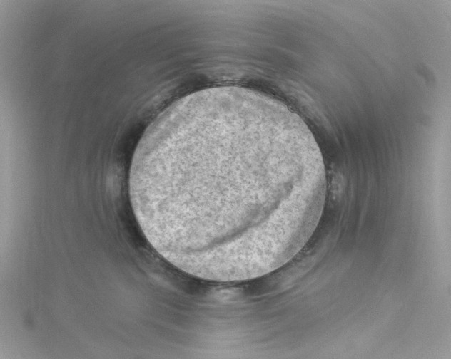 X0000114530283200911161343