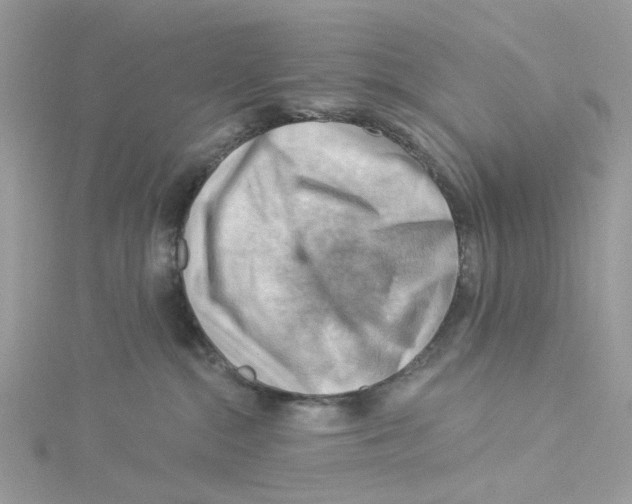 X0000114530284200911161343