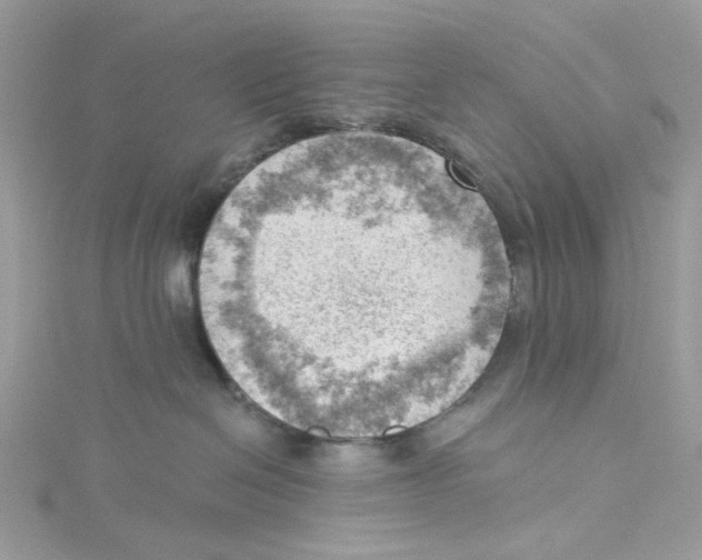 X0000114530286200911161343