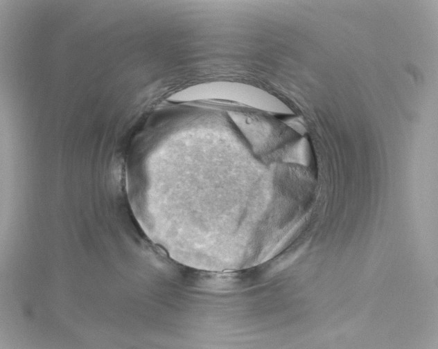 X0000114530288200911161343