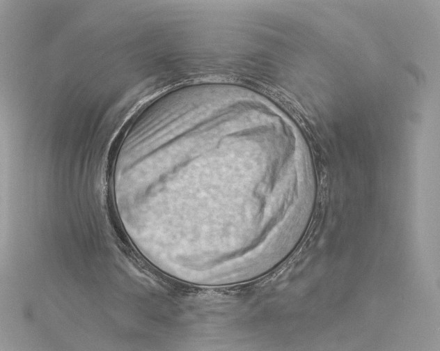 X0000114530290200911161342